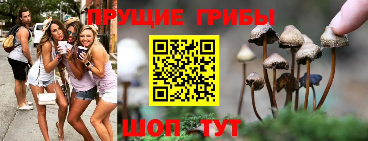 Междуреченск  Псилоцибиновые грибы мицелий  Псилоцибиновые грибы Cubensis  Вход с VPN 